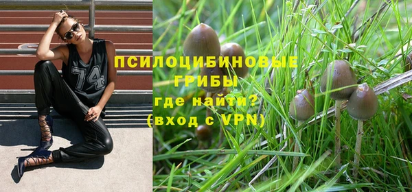 дмт Баксан