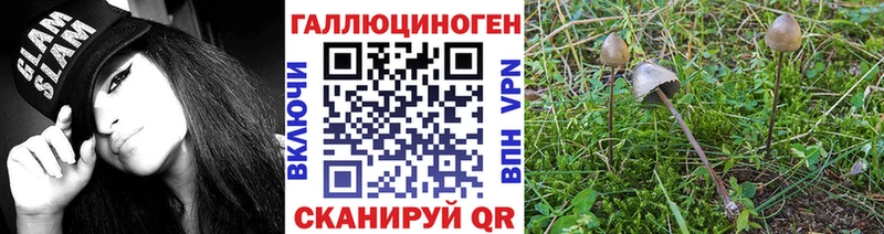 дарк нет какой сайт Бирюсинск Псилоцибиновые грибы MAGIC MUSHROOMS блэк спрут tor